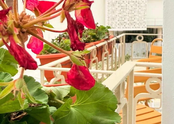 Ikigai Leisure * 에스테포나